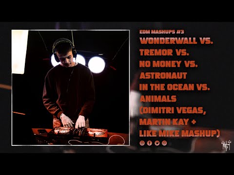 Wonderwall vs. Tremor vs. No Money vs. Astronaut In The Ocean vs. Animals (Martin Kay Mashup)