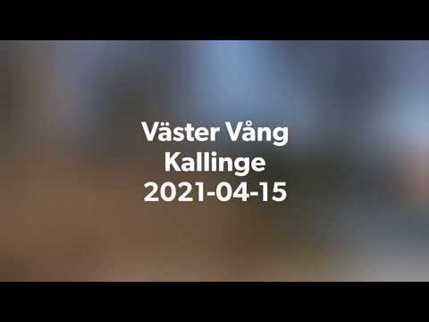 VÄSTER VÅNG - 210415 - nära Häggatorp och DJUPAFORS - Kallinge - RONNEBY - Huawei p30 PRO