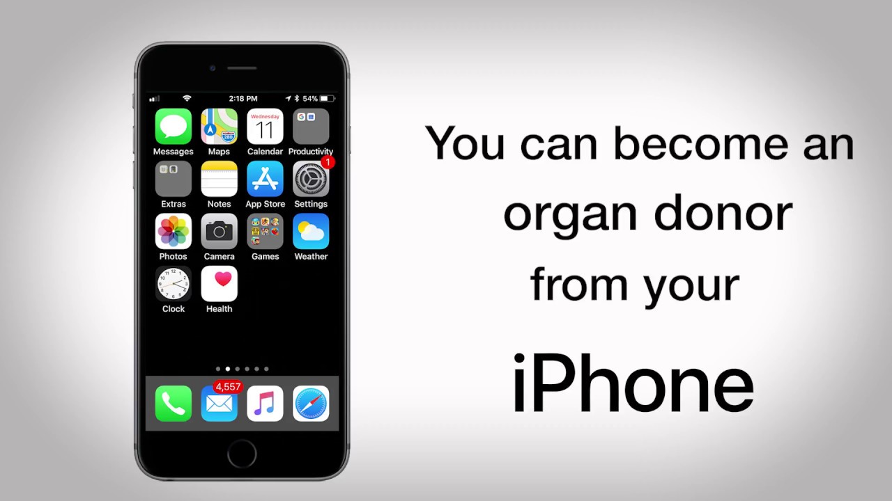 How to Become an Organ Donor