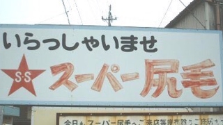 シージしね