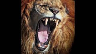 HARRY BELAFONTE      COCONUT WOMAN