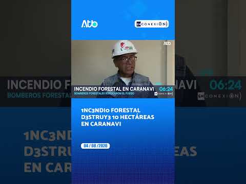 Inc3ndi0 forestal d3struy3 10 hectáreas en Caranavi