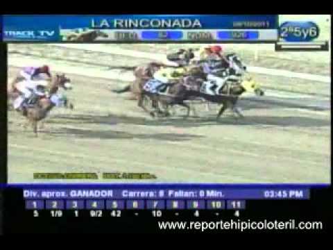 Resumen Domingo 09 de Octubre de 2011   La Rinconada