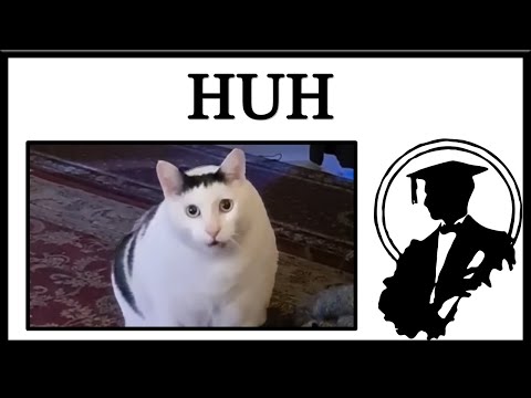 Meet Ben, The 'Huh' Cat