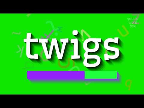 TWIGS - HOW TO PRONOUNCE TWIGS? #twigs