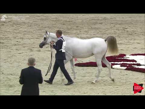 32 LR ERA DE EXCALIBUR Sharjah International 2018