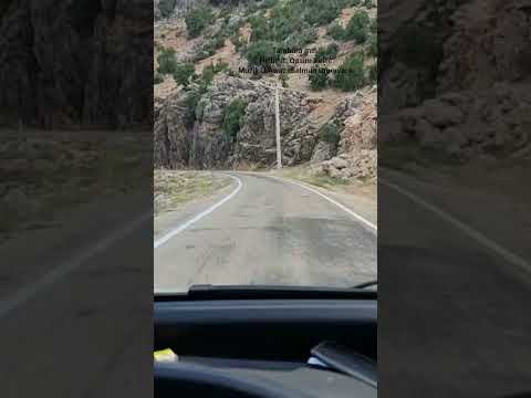 Selman Omeryanî--Tembûra Min