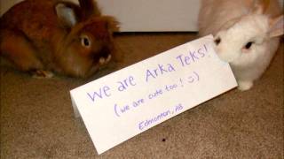 The Arka Teks - Under the City Lights