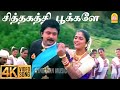 Siththagaththi Pookale - 4K Video Song |சித்தகத்தி பூக்களே |Rajakumaran|Prabhu | Meena