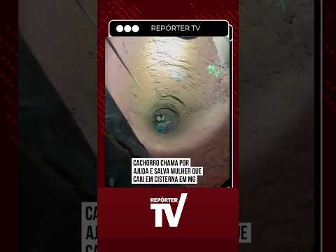 Cachorro ajuda a resgatar idosa que caiu em cisterna de 13 metros em minas gerais