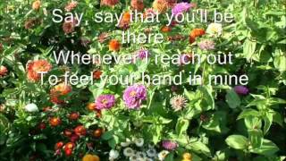 You're All I Need By White Lion Lyrics