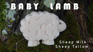 Making Baby Lamb - Sheep Milk/Tallow Soap