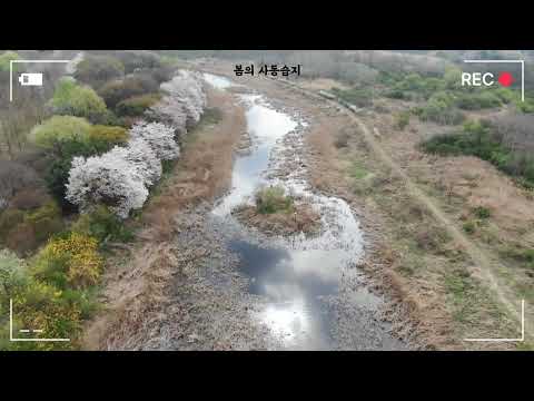 간척지와 자연의 공존 농어촌연구원 사동습지