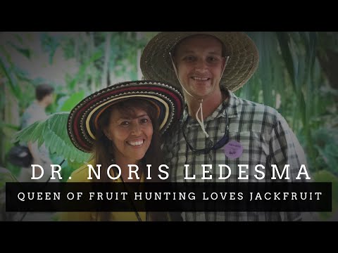 Queen of Fruit Hunting Loves Jackfruit + Tropical Fruit Rooms at Fairchild Gardens