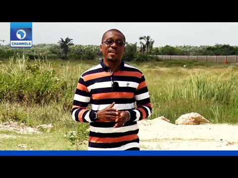 Eco Africa |01/11/2020