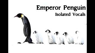 The Tragically Hip - Emperor Penguin  (Isolated Vocal)