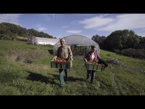 Die Ernte teilen - Solidarische Landwirtschaft Vlotho