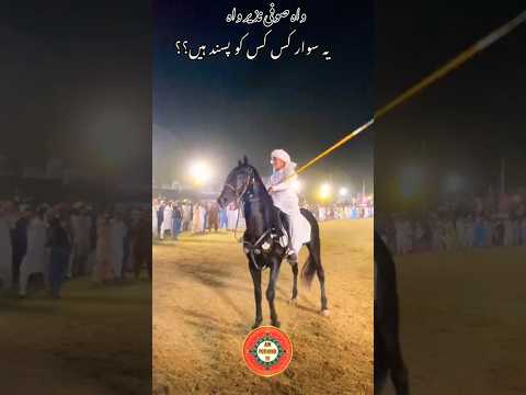 Neza Bazi 2024 | Best Horse Rider Sufi Nazir #nezabazi #horserider #youtubeshorts #shortsvideo
