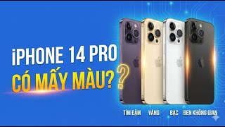 iPhone 14 Pro có mấy màu? Màu nào là chân ái?