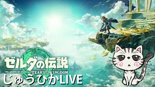 クリア済【ゼルダ】のんびり探索