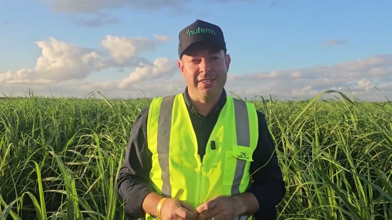 Nufarm amplia rede de pesquisa e aposta em variedades para ambientes restritivos