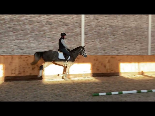 UNDER SADDLE VIDEO