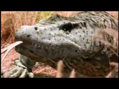 Monsters We Met - Megalania