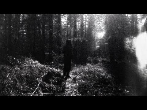 Video thumbnail for ​​​inaudible