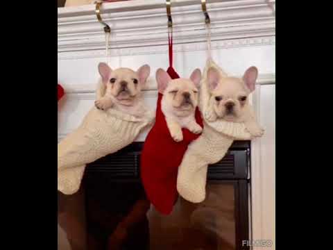 Alles dient uns zum Besten! Ist das so, wenn deine Ehefrau stirbt, deine Tochter vergewaltigt ......