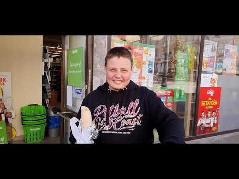 DISCO BANIA x MELROSE - WAKACJE (prod.MyloseBeatz)