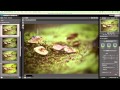 Perfect Effects 8 Make Dull Images Come To Life