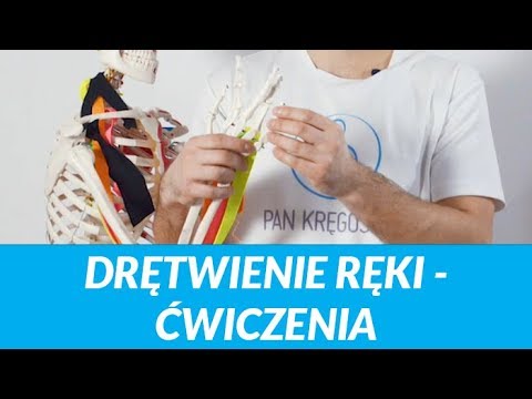 Kulturystyka program do nagrywania Zestaw ćwiczeń na mięśnie ramion