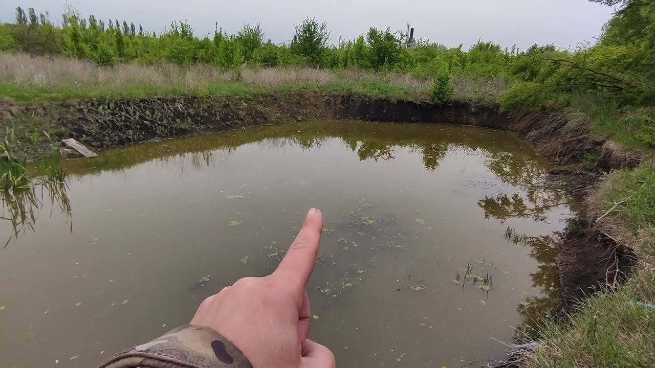 Подготовка пруда к лету! Садовый пруд на участке даче своими руками для разведения рыбы, раков.