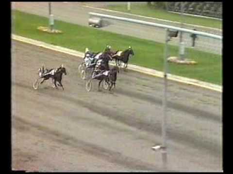 Åby Stora Pris 1983 - Legolas / Thomas Nilsson