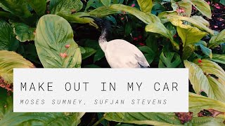 MAKE OUT IN MY CAR / moses sumney, sufjan stevens ( cover )