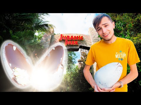 I HATCHED A Dinosaur Egg