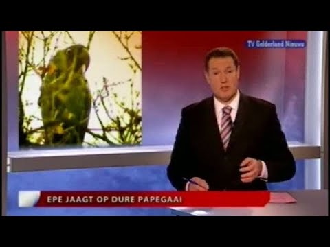 GLD Nieuws 11 december 2008 - Nieuws