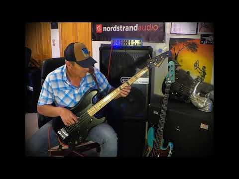 Nordstrand "Power Blade" (passive) P Bass pickups - Andy Irvine