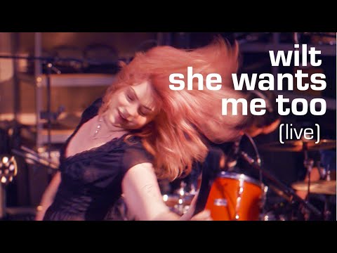 wilt - she wants me too (live)
