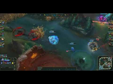 URF VOLIBEAR DEVOURS ALL