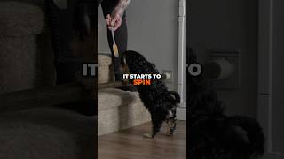 I puppy-proof a house using 3D printing | MandicReally