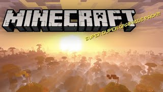 【マイクラ】テスト配信_サバイバル生活【Minecraft】