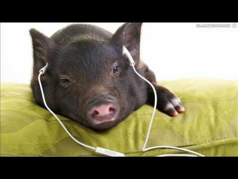 Chrizz Luvly & Rocket Pimp - Access (Original Mix)