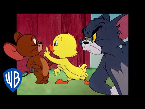 Tom y Jerry en Español Latino America | Lo Mejor del Pequeño Patito | WB Kids