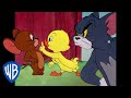 Tom Y Jerry En Latino Pequeño Patito El Más Lindo WB Kids
