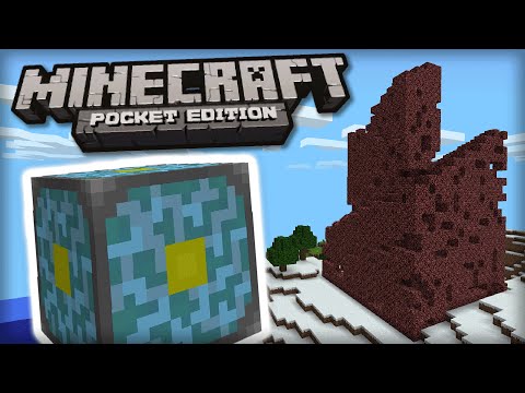 Returning to the Nether Reactor...