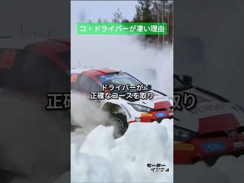 ラリー・アルゼンチン - 定義