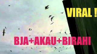Download lagu SP  BJA AKAU BIRAHI mp3 Download lagu SP  BJA AKAU BIRAHI mp3