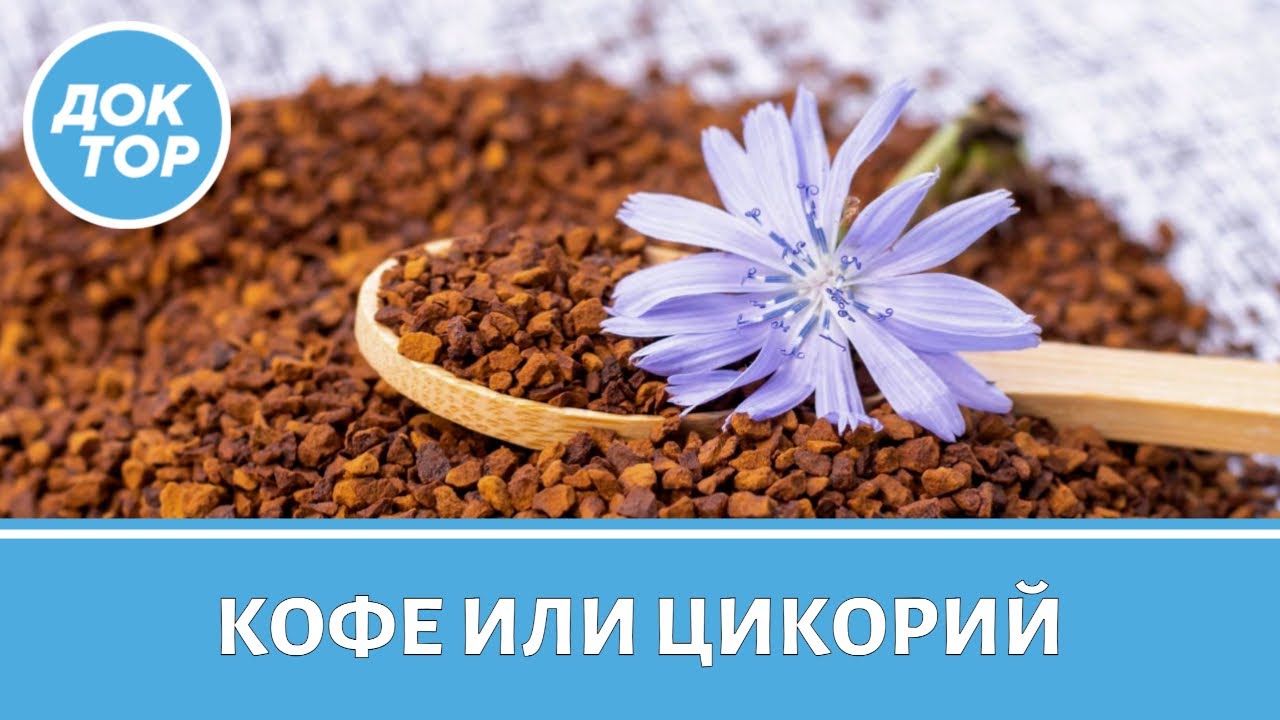 Цикорий вместо кофе: оправдана ли замена
