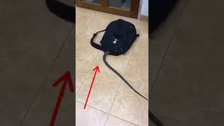 Eu tive um medo quando vi